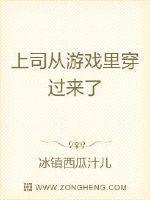 上司从游戏里穿过来了