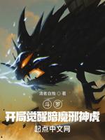 斗罗：开局觉醒暗魔邪神虎